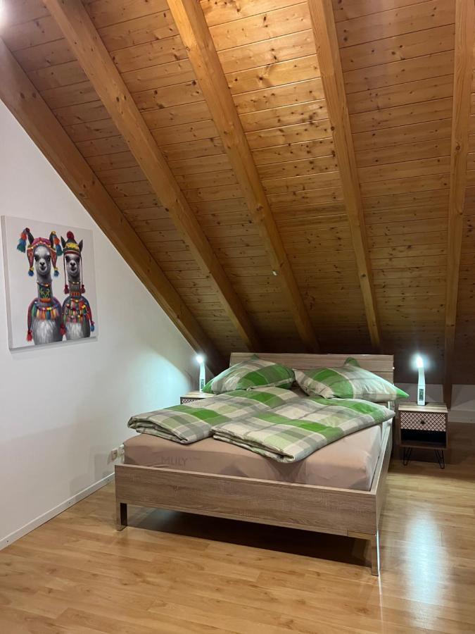 Ferienwohnung Zentral In Loerrach - Konus Gaestekarte Inklusive Εξωτερικό φωτογραφία